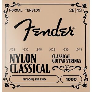 Fender 100C Clear/Silver kép