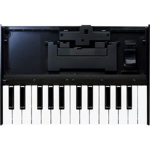 Roland K-25m kép