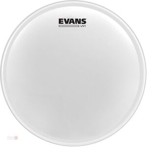 Evans 10" UV1 Coated kép