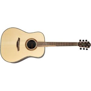 Furch Red D-LR CNR Active 2026 kép