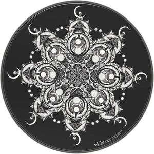 Remo 14" ARTBEAT Artist Collection Drumhead Aric Improta Salem kép