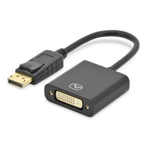 Assmann DisplayPort - DVI-I (Dual Link) Adapter/Converter Kábel 0... kép