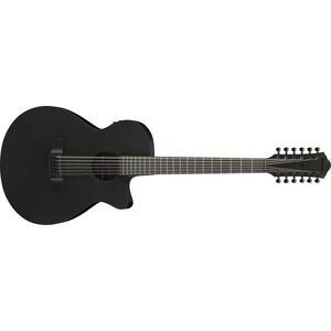 Ibanez AEG1221-BOT kép