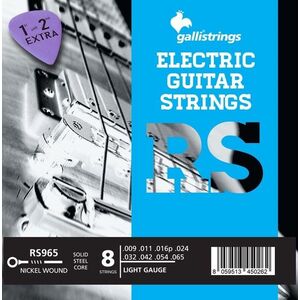 Galli RS965 Nickel 8-String Light kép