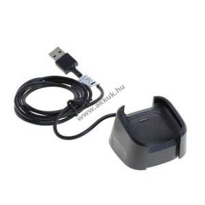 OTB USB töltőadapter Fitbit Versa 2 kép