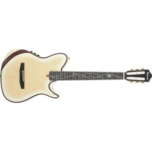 Ibanez TOD100FMN TMM kép