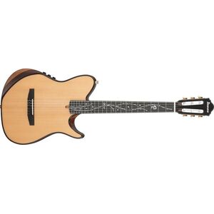 Ibanez TOD100N NT kép