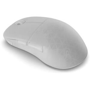 EGG-XM2W-4K-V2-WF kép
