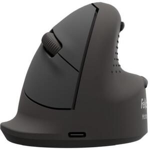Breyta Small 100143580 kép