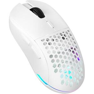 Swipe YMS 3001WE kép