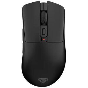 Zircon 880 Pro (NMG-2381) kép