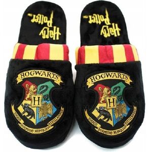 Harry Potter - Roxfort - papucs, 42-45 méret kép