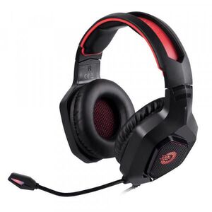 Livebass 2 R kép