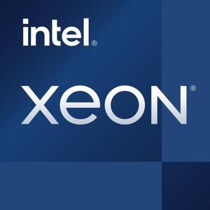 Xeon E-2378G 8-Core 2.8GHz LGA1200 OEM Tray (CM8070804494916) kép