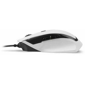 Shark Force II White kép