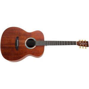 Tanglewood TE3 BL kép