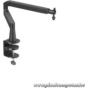 MIC ARM LP kép