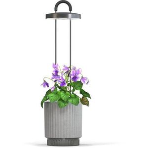 Click and Grow Smart Garden 1 HydroVase, szürke kép