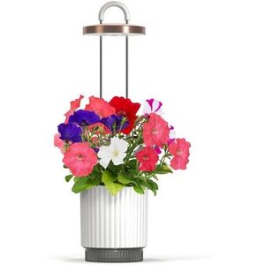 Click and Grow Smart Garden 1 HydroVase, fehér kép