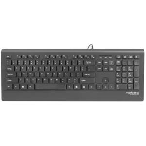 Barracuda NKL-0876 kép