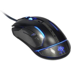EMS669 kép