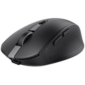 Ozaa Compact Eco (24819) kép