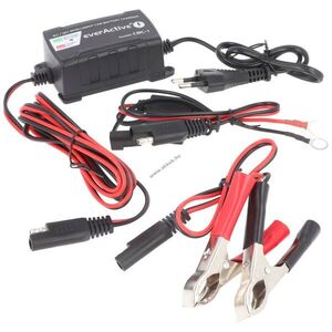 EverActive akkutöltő 6V 12V 2-24A autó motor Gel AGM PB intelligens kép