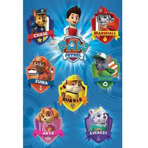 Pyramid Paw Patrol: Team kép