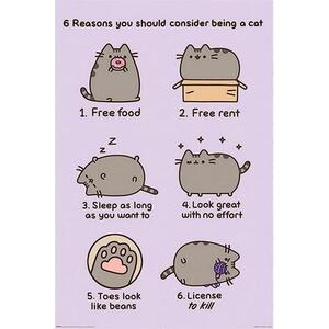 Pusheen: 6 Reasons Why To Be Cat kép