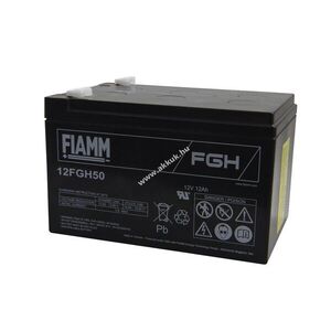 FIAMM 12FGH50 12V 12000mAh akku ólomsavas kép