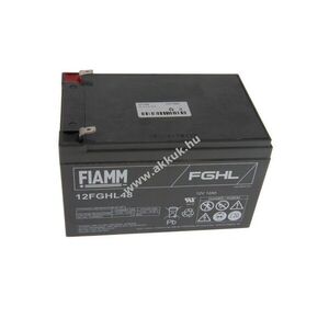 FIAMM 12FGHL48 12V 12000mAh akku ólomsavas kép