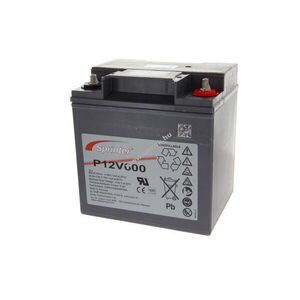 Exide Sprinter P12V600 12V 24Ah akku AGM ólom kép