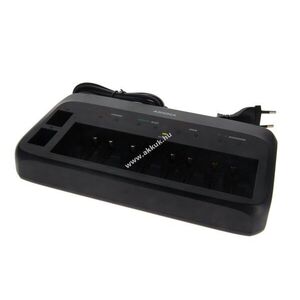 Absina X10 intelligens akkumulátortöltő AA AAA 9V NiMH kép