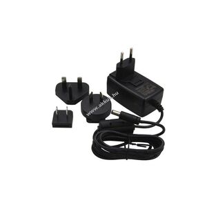 Eredeti Kern hálózati adapter MPE250K100HM KSB MBC-A04 kép