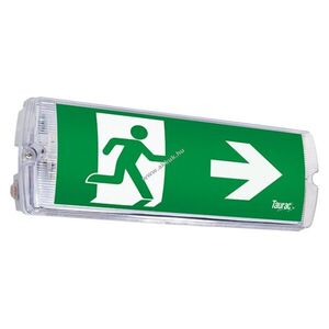 TAURAC Tokyo LED vészkijelző lámpa 6W 3h fal- és mennyezeti IP65 tesztgomb átlátszó kép