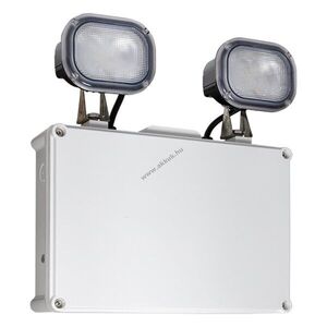 TAURAC Twin Delhi LED biztonsági lámpa 6000K 2x2W 3h IP65 tesztgomb kép