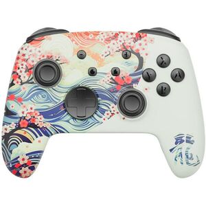 RGB Switch/PC Dragon's Soul Nintendo Switch kép