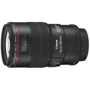 EF 100mm f/2.8L IS USM Macro (AC3554B005AA) kép