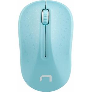 Toucan Blue NMY-1651 kép