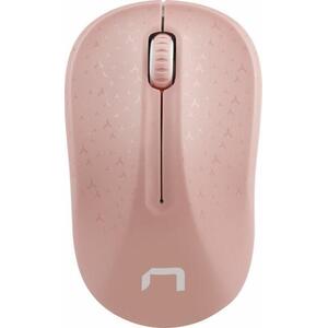 Toucan Pink NMY-1652 kép