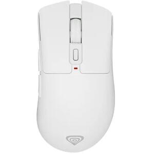Zircon 880 Pro (NMG-2382) kép