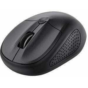 Primo Black 24966 kép