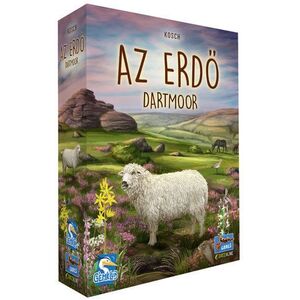 Az erdő - Dartmoor kép