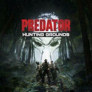 Predator Hunting Grounds [Bundle Edition] (PC) kép