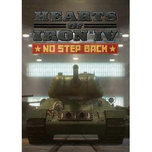 Hearts of Iron IV No Step Back (PC) kép