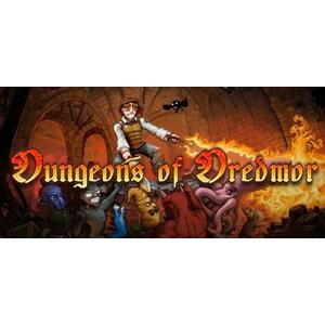 Dungeons of Dredmor Complete (PC) kép