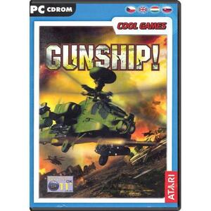 Gunship! (PC) kép