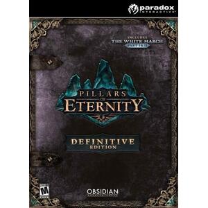 Pillars of Eternity [Definitive Edition] (PC) kép