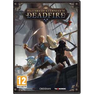 Pillars of Eternity II Deadfire (PC) kép