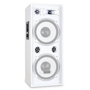 Auna Pro PA hangszóró auna Pro™ PW 2222 , 2 x 30 cm-es hangszóró, 1000 W kép